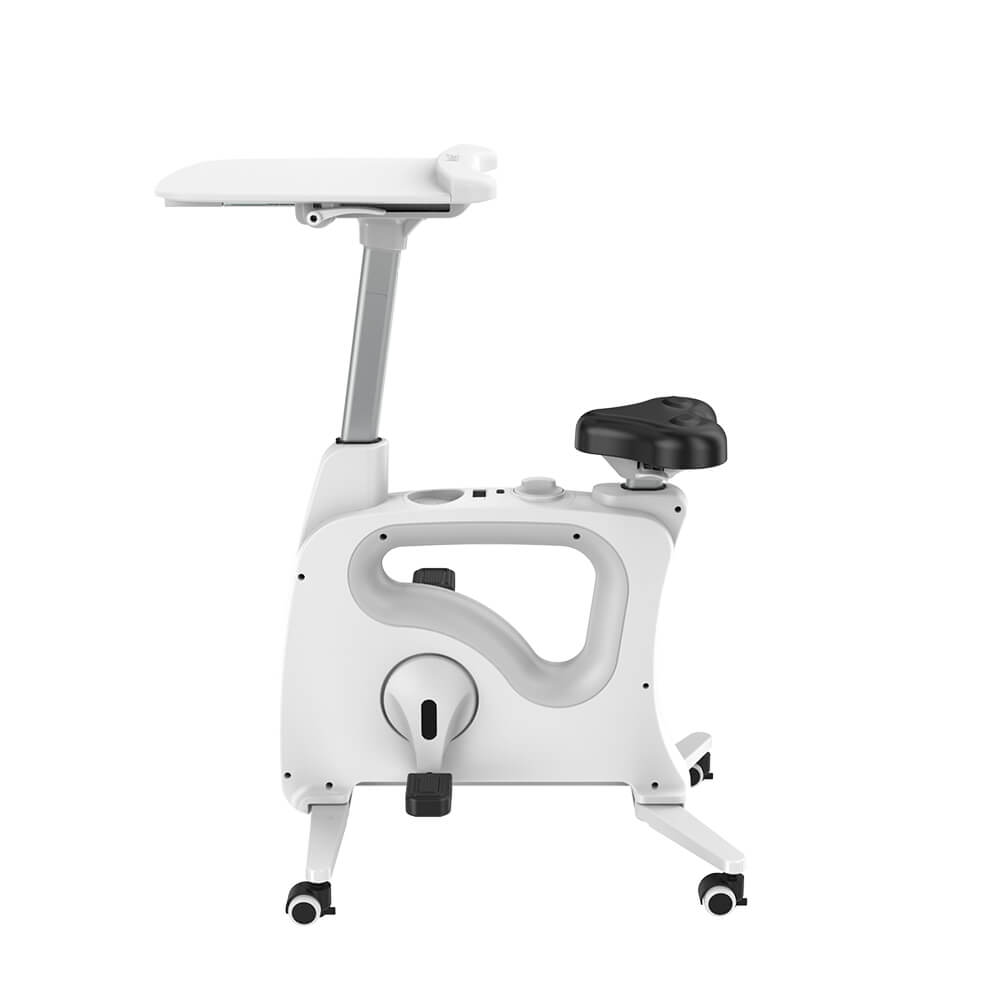 Loctek discount exercise bike